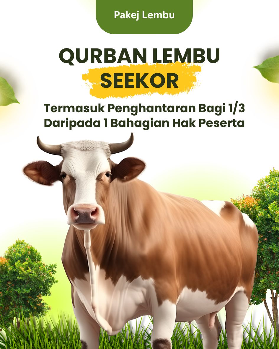 Pakej Qorban Lembu Satu Ekor Termasuk Penghantaran